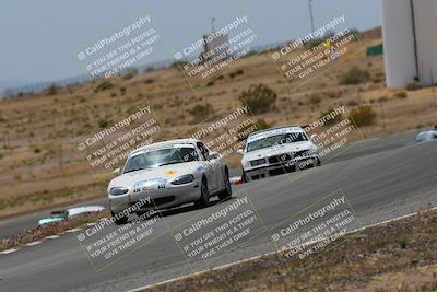 media/May-03-2025-Lucky Dog Racing (Sat) [[206de64b9d]]/Turn 6 (150pm-230pm)/